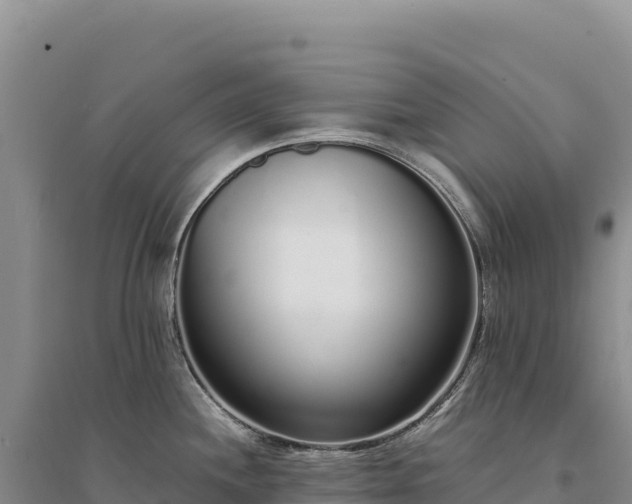 X0000094361244200711091507