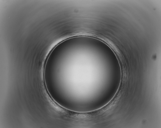 X0000094361246200711091507