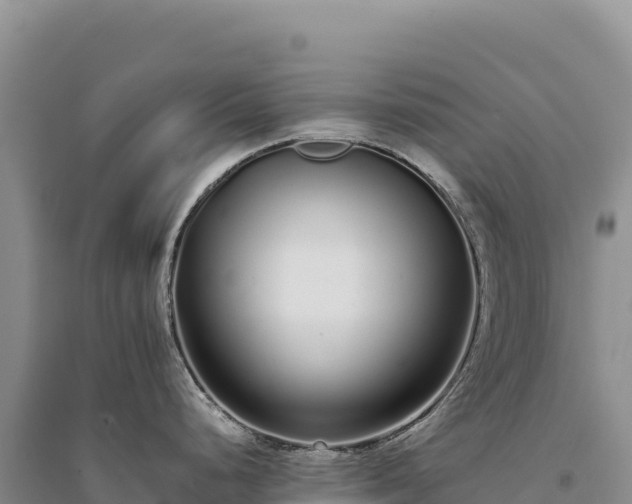 X0000094361248200711091507
