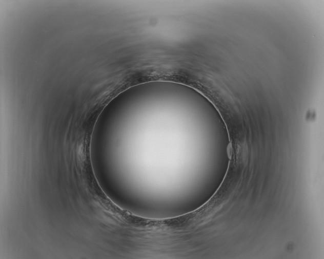 X0000094361250200711091507