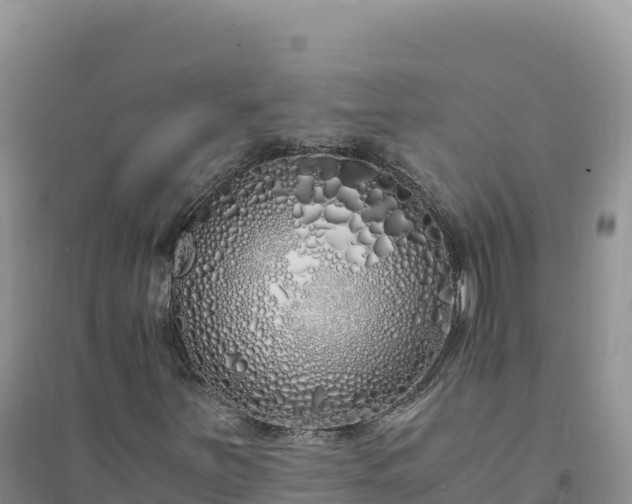X0000094361251200711091507