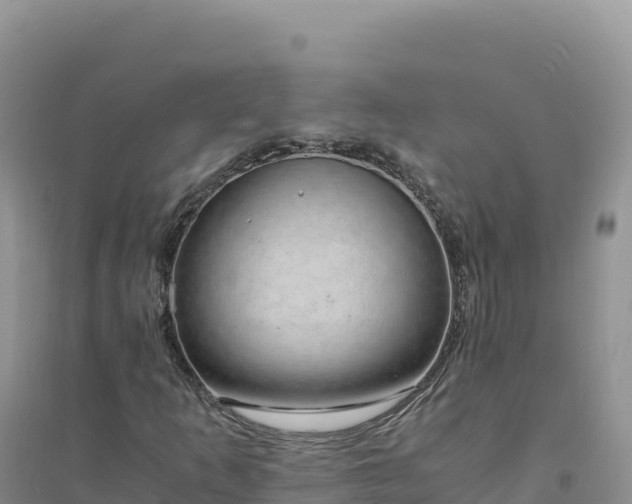 X0000094361253200711091507