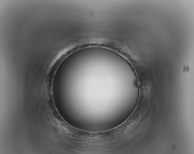 X0000094361256200711091507