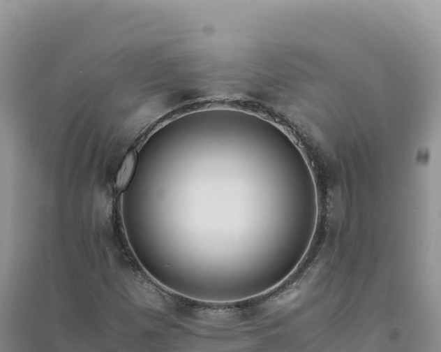 X0000094361257200711091507