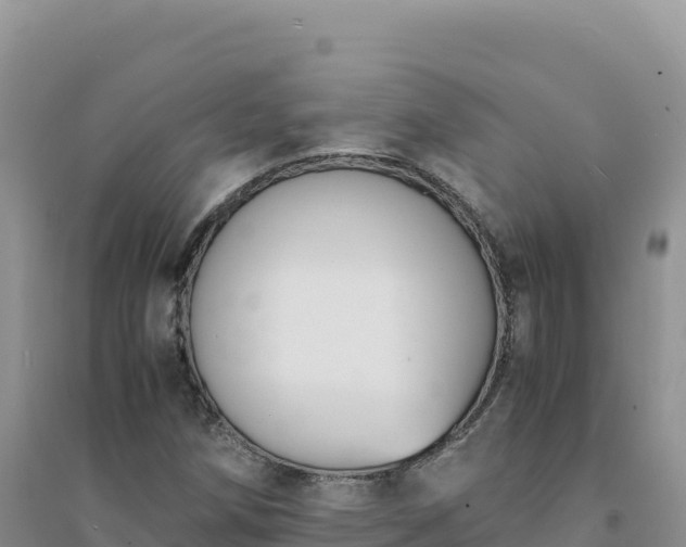 X0000094361258200711091507