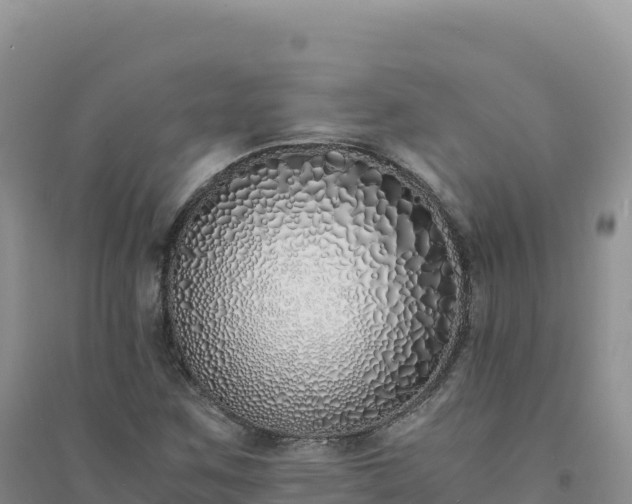 X0000094361259200711091507