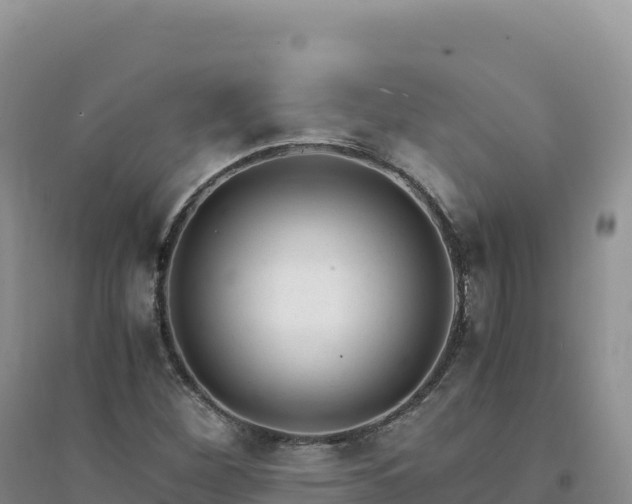 X0000094361260200711091507