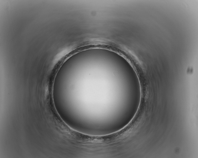 X0000094361261200711091507