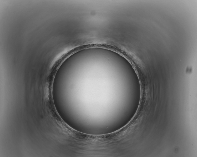 X0000094361262200711091507