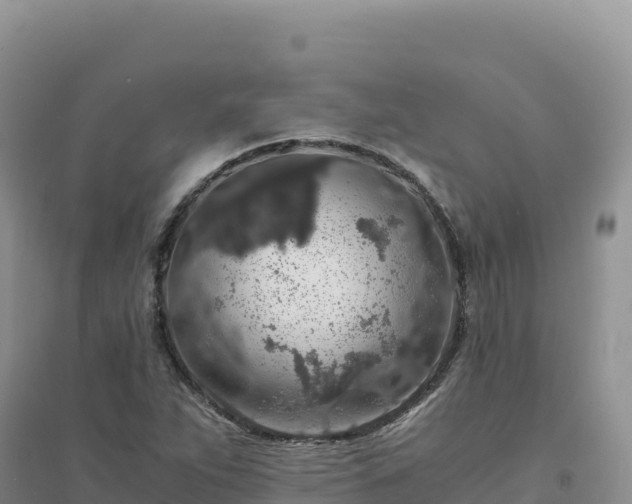 X0000094361263200711091507