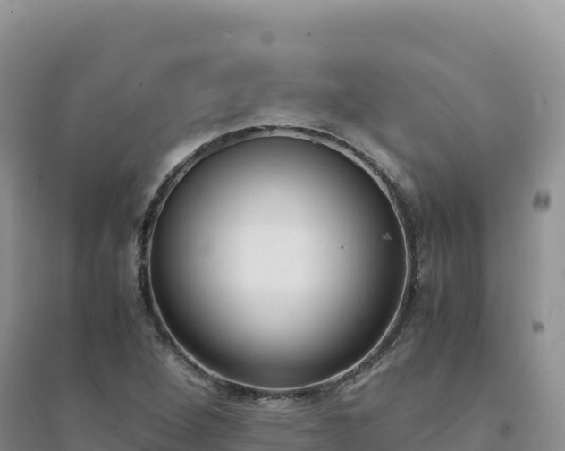 X0000094361264200711091507