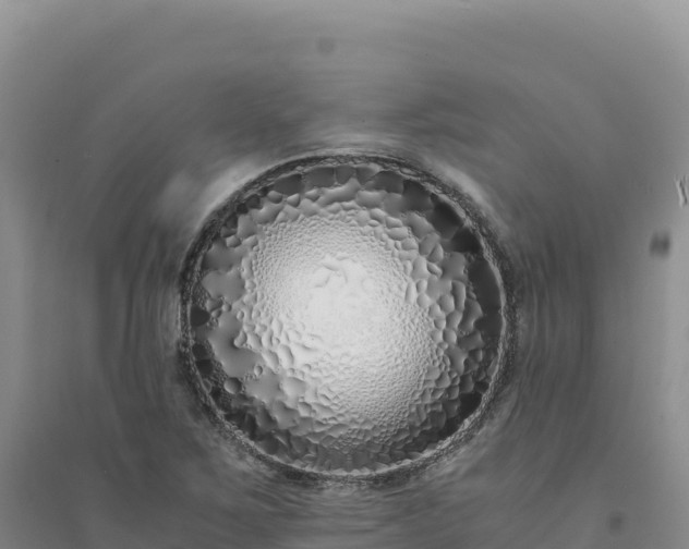 X0000094361267200711091507