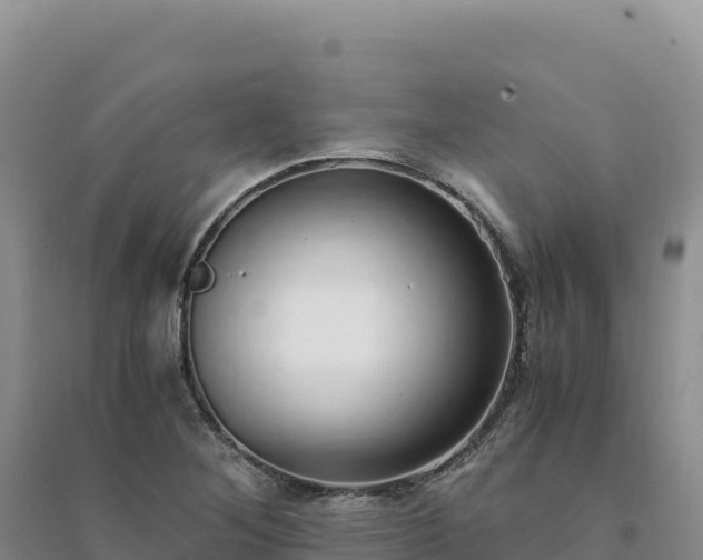 X0000094361268200711091507
