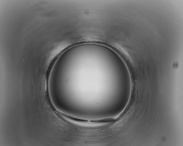 X0000094361269200711091507