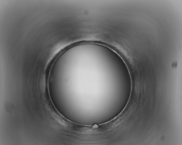 X0000094361270200711091507