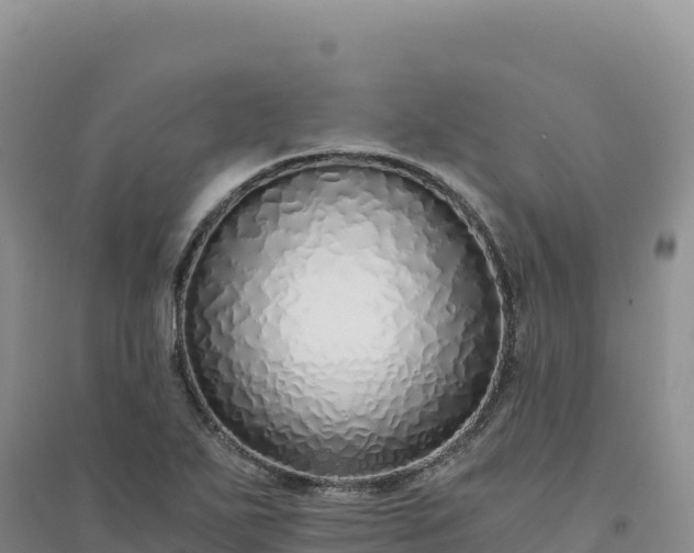X0000094361271200711091507