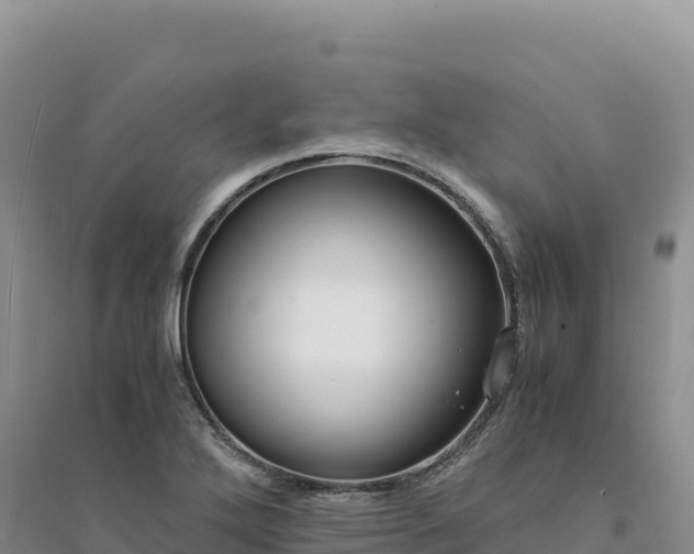 X0000094361272200711091507