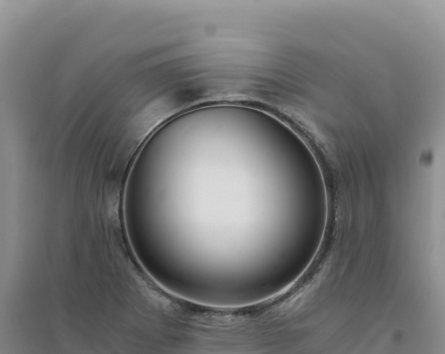 X0000094361273200711091506