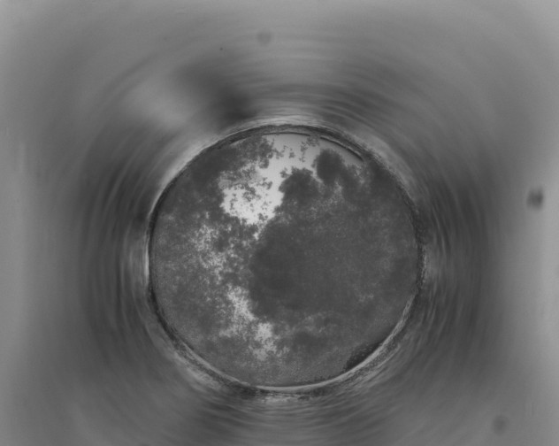 X0000094361274200711091506