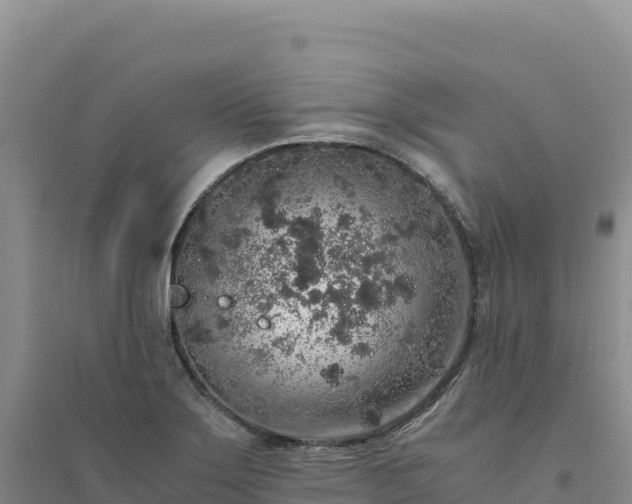 X0000094361275200711091506