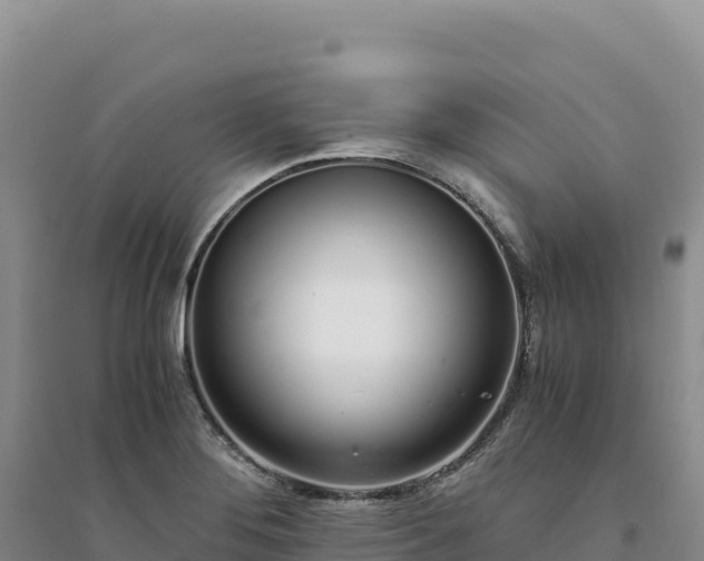 X0000094361276200711091506