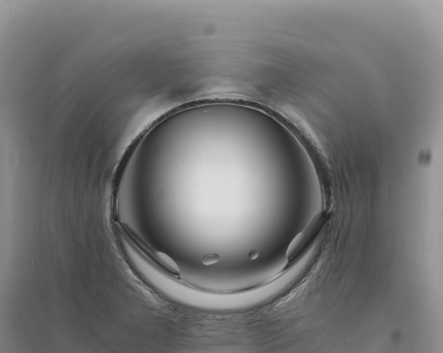 X0000094361277200711091506