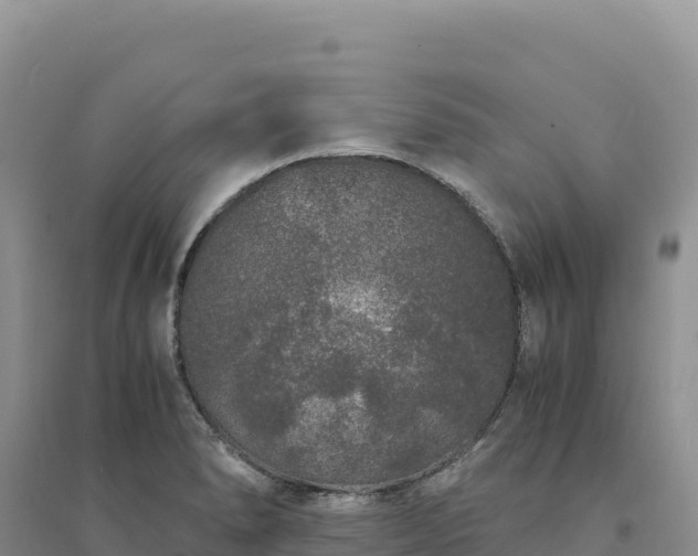 X0000094361278200711091506