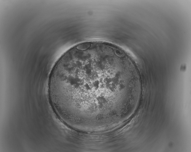X0000094361279200711091506