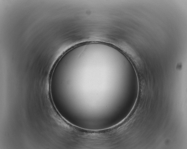 X0000094361280200711091506