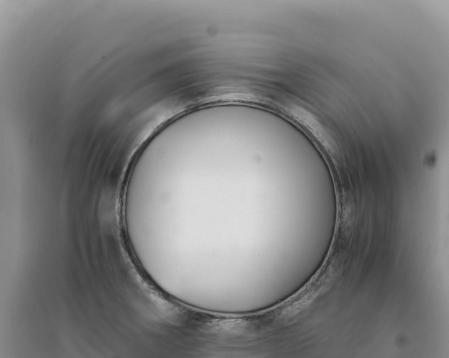 X0000094361282200711091506