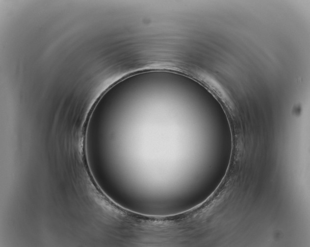 X0000094361284200711091506