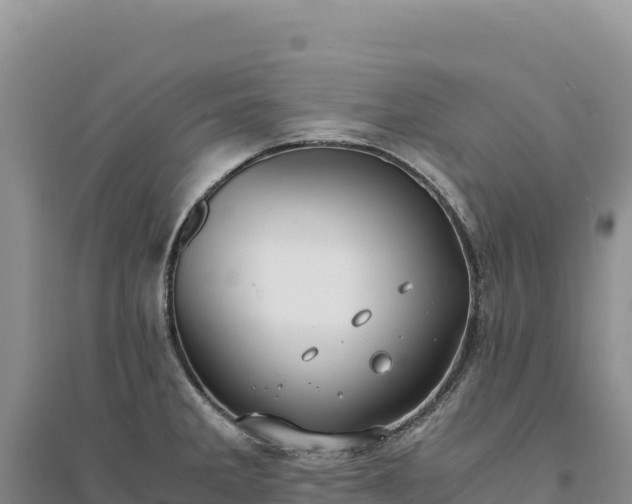 X0000094361285200711091506