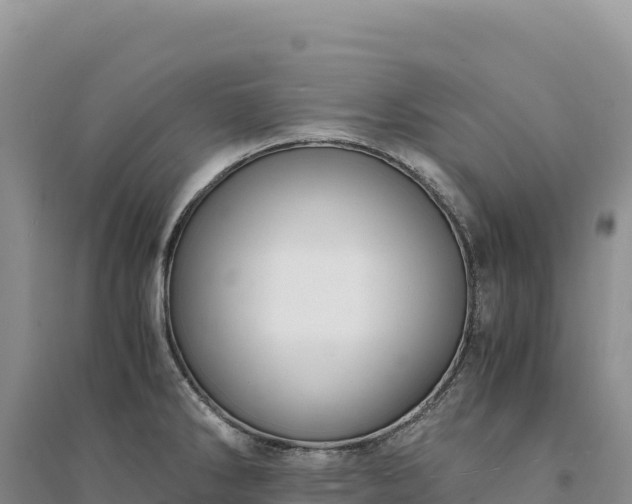 X0000094361286200711091506