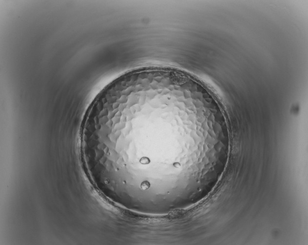X0000094361287200711091506