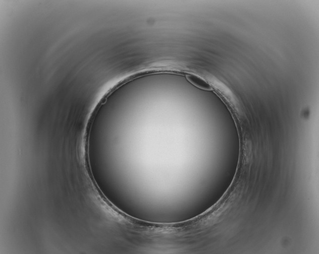 X0000094361288200711091506