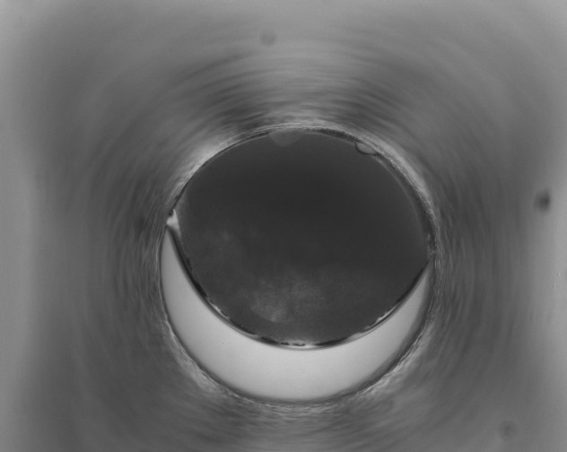 X0000094361289200711091506