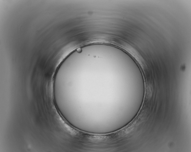 X0000094361290200711091506
