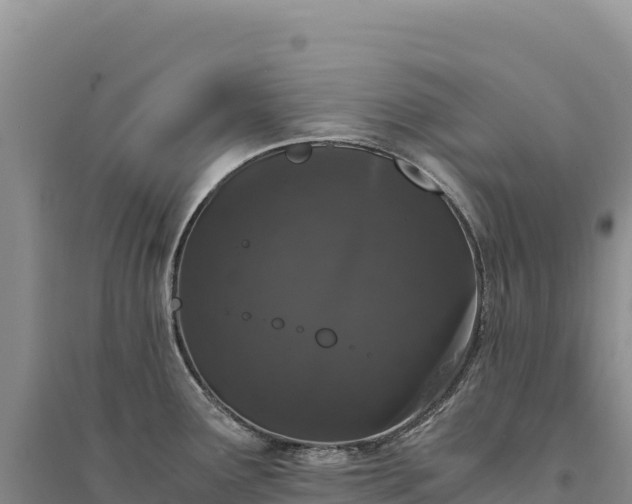 X0000094361291200711091506