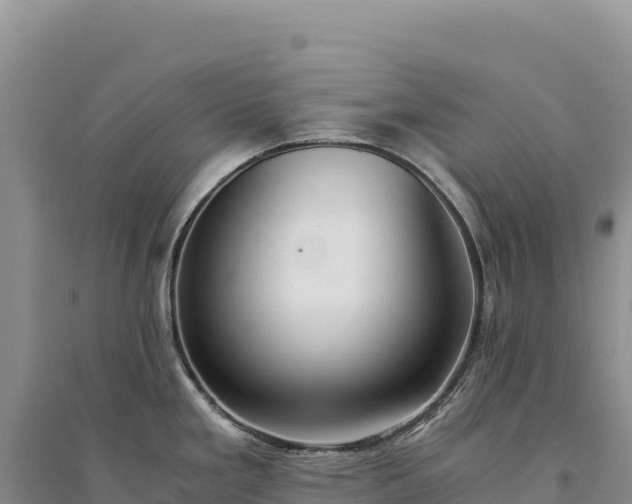 X0000094361293200711091506