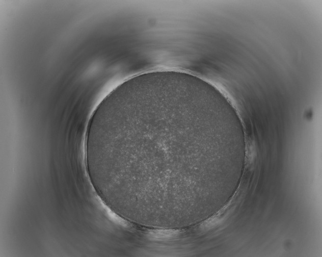 X0000094361294200711091506