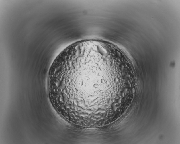 X0000094361295200711091506