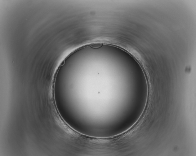 X0000094361296200711091506