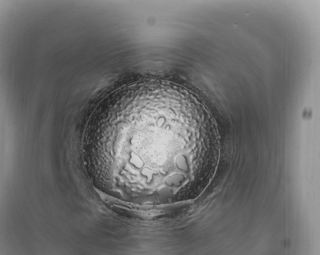 X0000094361297200711091506