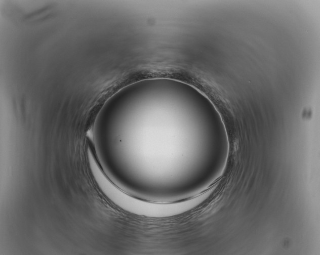 X0000094361300200711091506