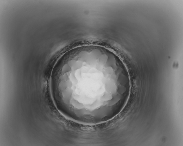 X0000094361302200711091506