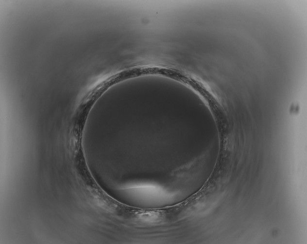 X0000094361303200711091506