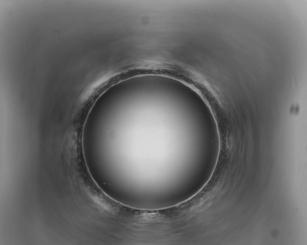 X0000094361304200711091506