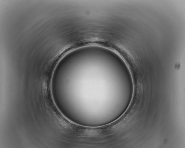 X0000094361305200711091506