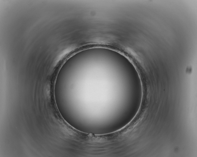 X0000094361307200711091506