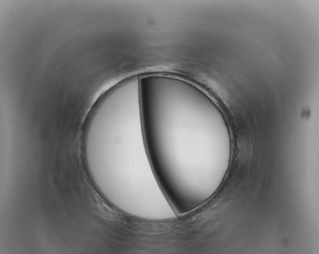 X0000094361308200711091506